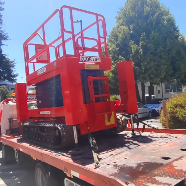 Imagen publicada de alza hombre